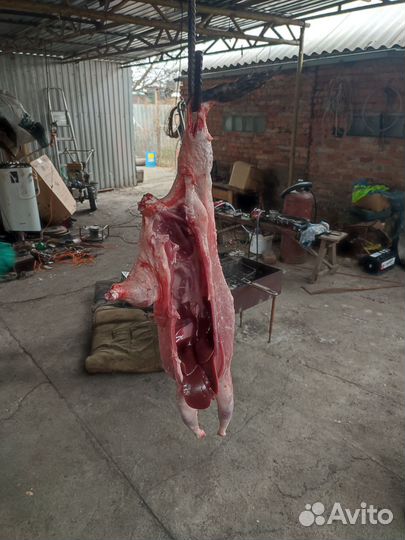 Мясо нутрии и кролик