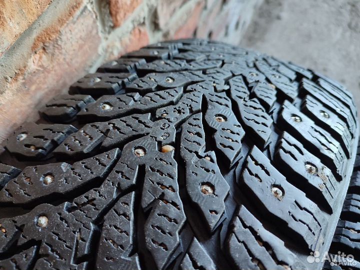 Nokian Tyres Hakkapeliitta 9 205/65 R16