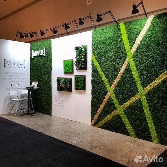 Фитопанно из мха на выставку и в офис