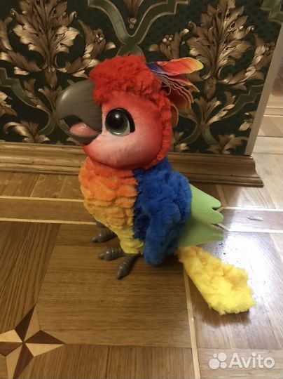 Попугай hasbro