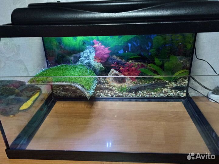 Аквариум для черепах