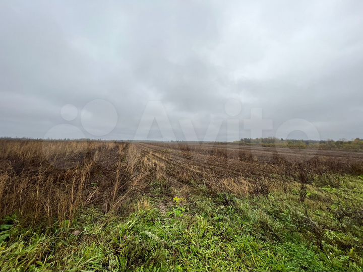 Участок 467 га (СНТ, ДНП)