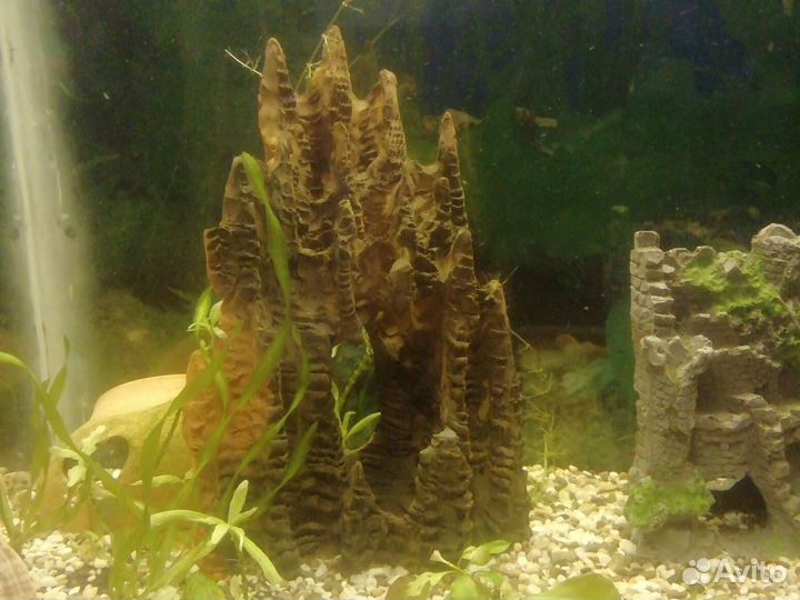 Аквариум с рыбками и полная комплектация