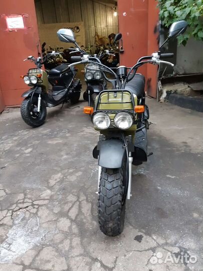 Honda zoomer для двоих из Японии