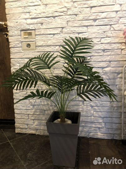 Искусственная пальма, декоративные растения