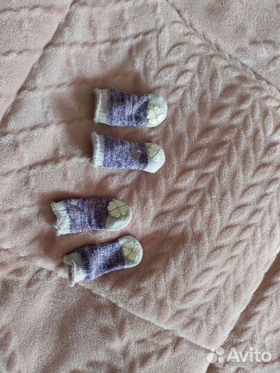 Одежда для маленьких собак