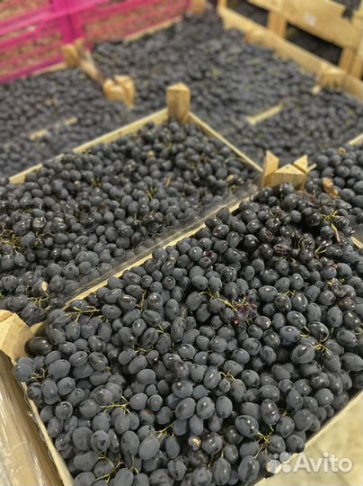 Фрукты и овощи оптом