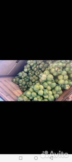 Продам картофель