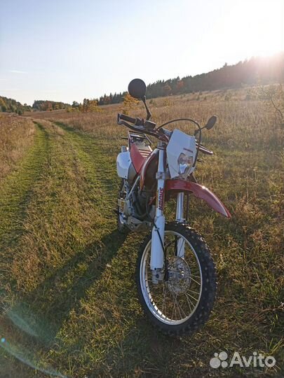 Honda xr250