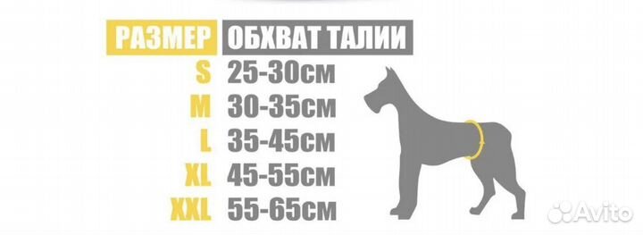 Трусы для собак средних пород