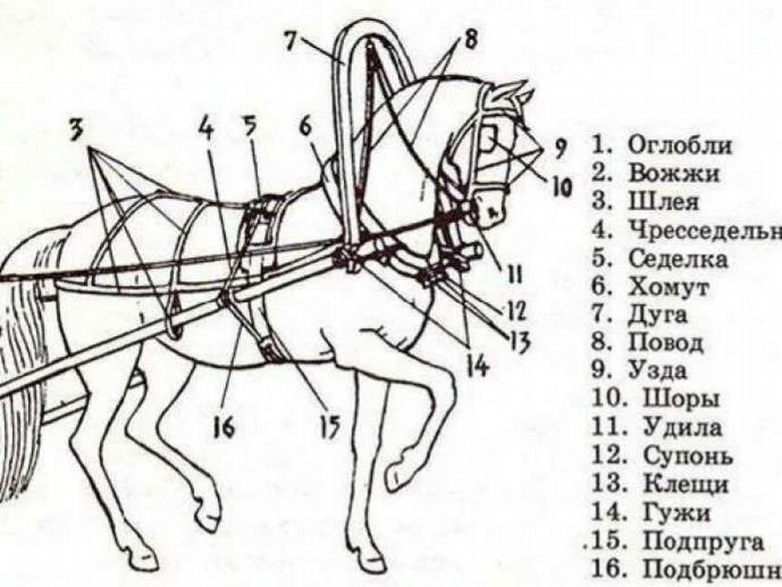 Сбруя б/у для лошади Конские принадлежности