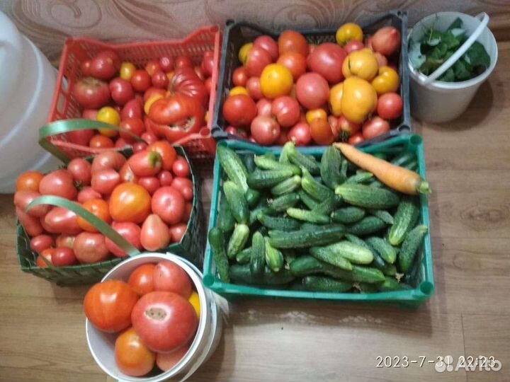 Помидоры, огурцы