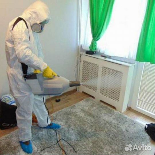 Дезинфекция уничтожение клопа таракана дезинсекция