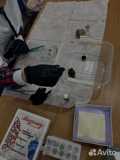 Репетитор по биологии егэ и огэ