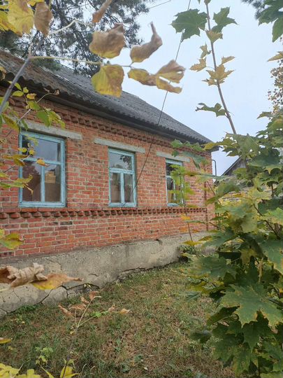 Участок 65 сот. (ИЖС)