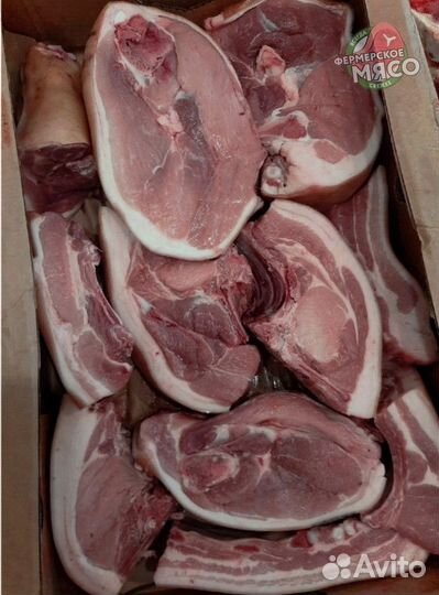 Мясо свинина