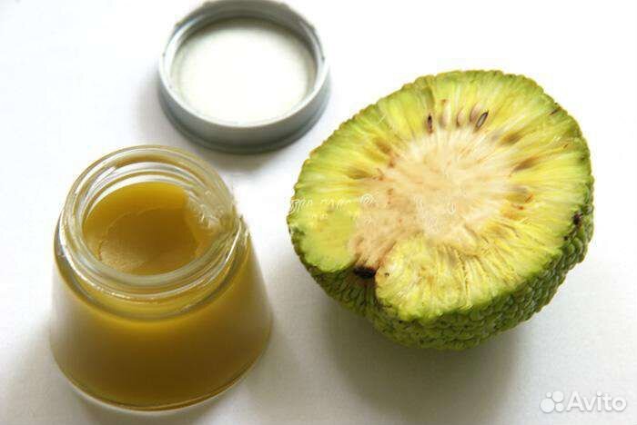 Мазь(Маклюра),лечение подагры,ревматизма и др