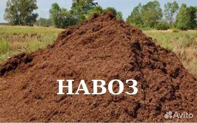 Конский навоз И перегной