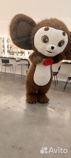 Белый Мишка Ростовые куклы Поздравление выписка