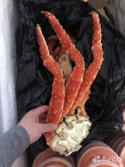 Краб камчатский. Клешни