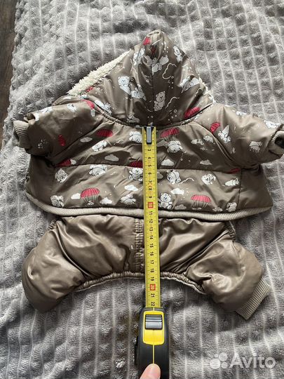 Одежда для собак мелких пород