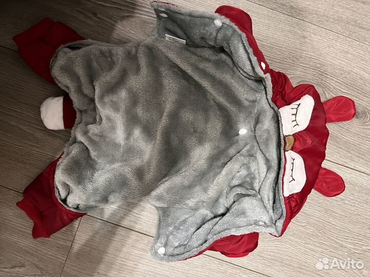 Одежда для собак