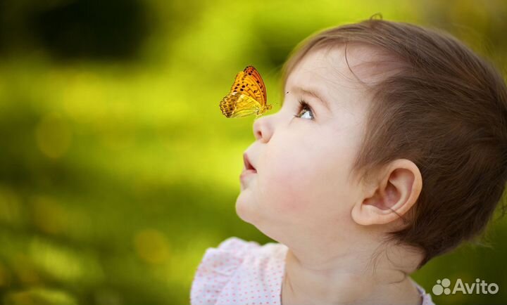 Детская Миниферма Тропических Бабочек ф/б-24