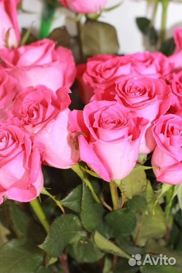 Цветы розы букет