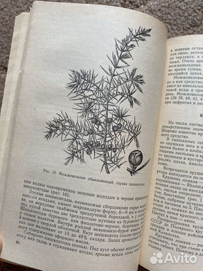 Лекарственные растения СССР