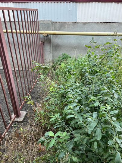 Таунхаус 280 м² на участке 2 сот.