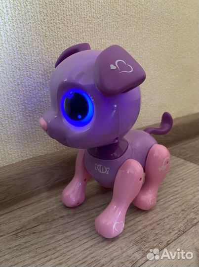 Littlest Pet Shop