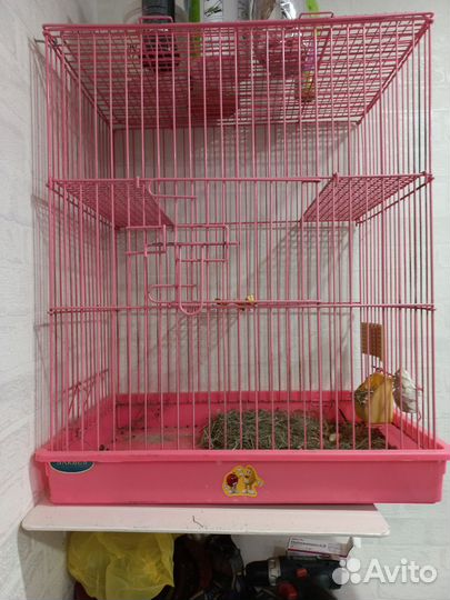 Клетка для грызунов бу