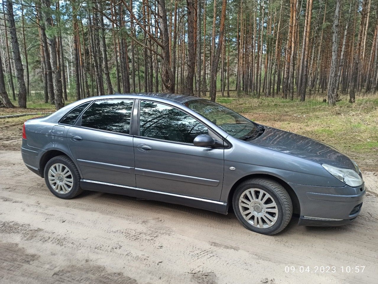 Citroen C5: фото владельца