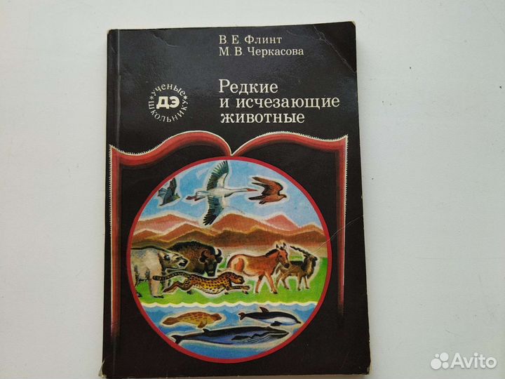 Брошюры и карта