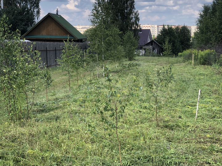 Участок 5,5 сот. (ИЖС)