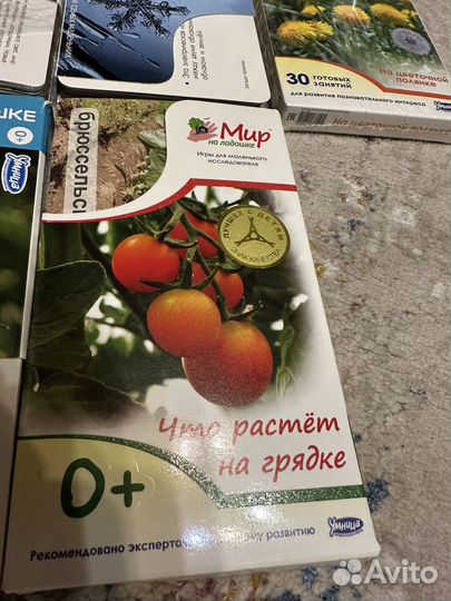Умница Мир на ладошке