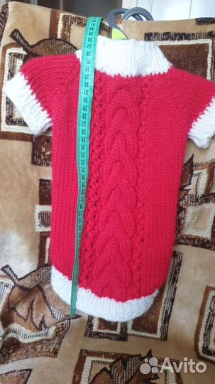 Одежда для собак