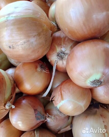 Овощи и фрукты