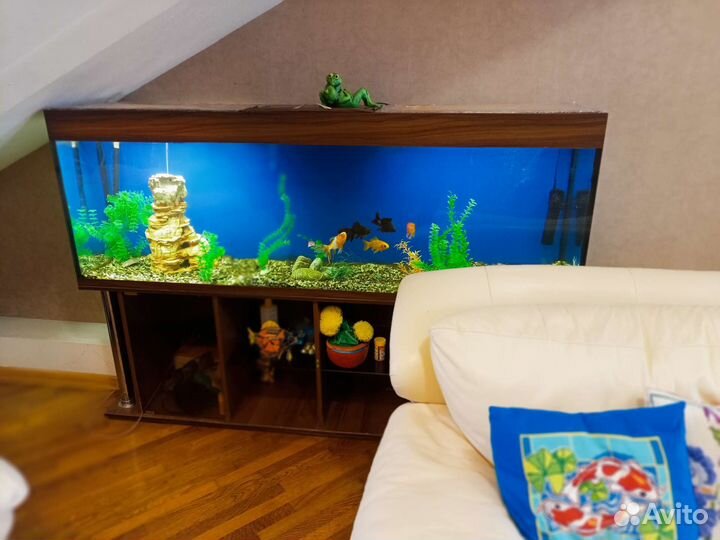 Аквариум