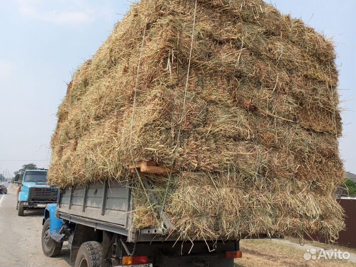 Сено в тюках, разнотравье
