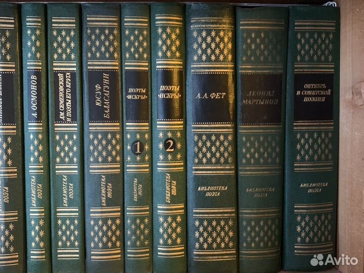 Библиотека поэта