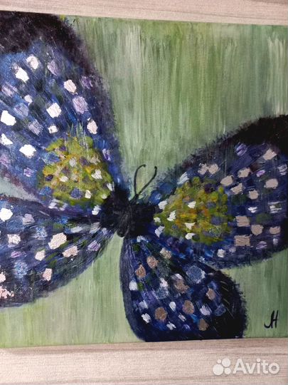 Бабочка Преображение