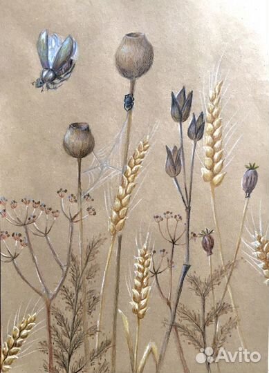 Уроки рисования учитель изо, репетитор