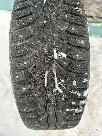 Nordman Nordman 4 205/55 R16