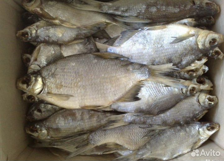 Густера вяленая