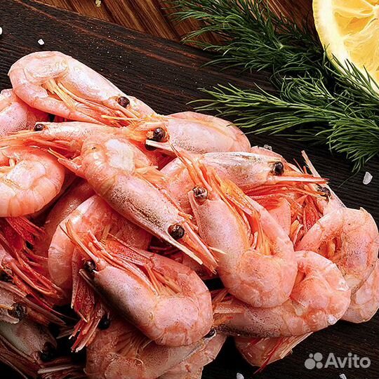 Креветки северные
