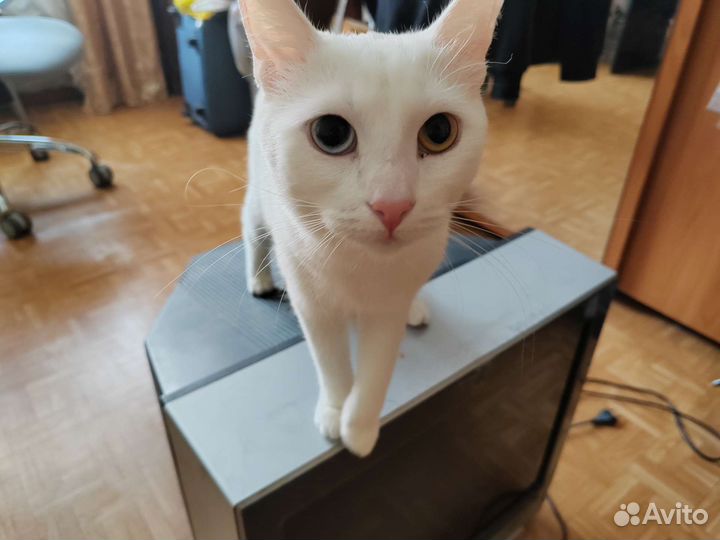 Телевизор Hitachi