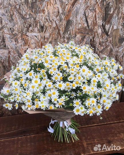 Ромашки Букет из ромашек доставка