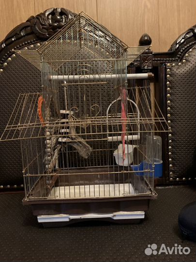 Клетка для птиц с аксесуарами