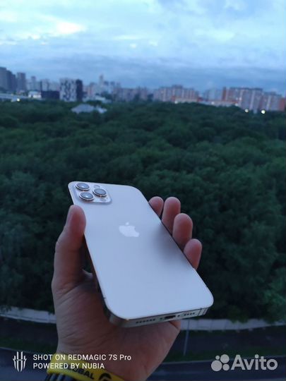 iPhone 12 Pro Max, 256 ГБ